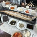 미라클 | 제주도 4박5일 혼자 여행 다녀왔습니다!
