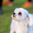 바다가쓴시 이미지