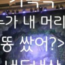 방방곡곡-누가 내 머리에 똥 쌌어? 네이버블로그