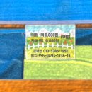 새터 농장 이미지