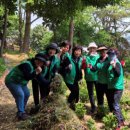 좌천체육공원 이미지