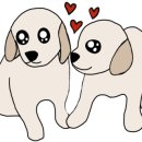 애견카페왕 이미지