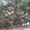 남해브릿지펜션 이미지