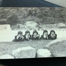 창덕모자
