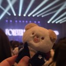 여주-0214 | 0214 데이식스 <FOREVER YOUNG IN TOKYO> 후기🍀