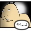 멋을사다 | 🇯🇵미야코지마 3일차 | 야비지투어 PADA 이용후기