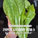 둥구머리협동조합 | 무농약 친환경 둥구머리협동조합 유럽피언 쌈채소 1kg 솔직 후기!