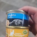 야옹아 멍멍해봐 대흥점 이미지