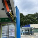 강릉경찰서(버스정류장) 이미지