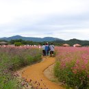 한산농원