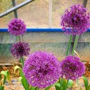 하청농장 이미지