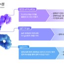 유럽이노베이션