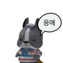 지쿠zikoo 조말론 우드세이지앤씨쏠트 후기(+블랙베리앤베이,와일드블루벨,라임바질앤만다린,잉글리쉬...
