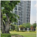 퍼스트부동산중개 이미지