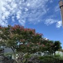 제주기와 <b>제주</b> 애월 브런치 맛집, 아이와 함께한 <b>제주</b><b>기와</b>