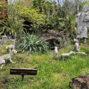 비블리아성서식물원 이미지