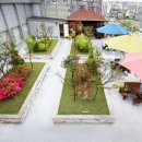 효사랑전주요양병원 이미지