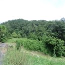 옥동교차로 부근 이미지