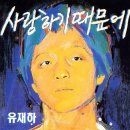 내품에햇살