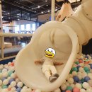 플라잉몬스터즈 이미지