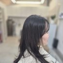 헤리헤어