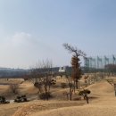 영재 par3 골프랜드 이미지