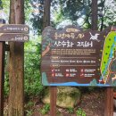 산수화길 네이버블로그