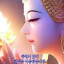 광명-광명-24015 이미지