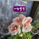 유니베라광명소하대리점