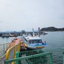 유채향 민박 | 만지도 1박 3식 펜션 원조 맛집 가족여행 가격 배편 코스 정리