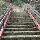 제주 천제연 난대림 | 제주 서귀포 가볼만한곳 제주도 관광지 천제연폭포 소요시간 주차장