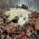 건강김밥 - 시흥시 목감남서로 9-7 | 건강김밥