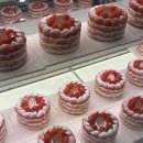 강남농장 영월지점 | 유명한 [키친205] 신세계백화점 스위트파크 강남점 평일 현장구매, 픽업 웨이팅 내돈내산 후기, 주차...