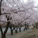 탑거리세천 Daum카페