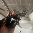 헤어리페어엔위그 | [후기] 집에서 하는 헤어클리닉 파이브센스 5ENSE 트리트먼트 + 셀프리페어