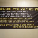 일루장어 이미지