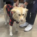 금풍농장 이미지