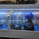 여수연합항운(여수해양공원) 이미지