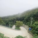 울릉명가펜션 이미지