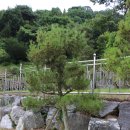 신기수목장 이미지