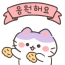 펫살롱 코코 이미지