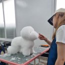 만 수 정 이미지