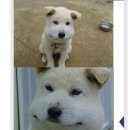 룰루랄라 이미지