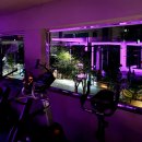 클라우드 짐 이미지