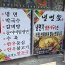 속초회냉면 이미지