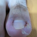 현대통통의원 이미지