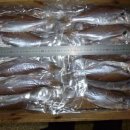 오늘의 생선 이미지