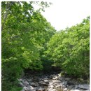 초대2리 이미지