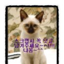 비긴프렌즈