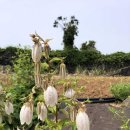 서부농업기술센터 이미지